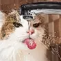 百事体育在线直播观看 百事体育在线直播观看